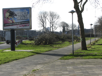 907602 Gezicht op de groenstroken langs de Talmalaan te Utrecht, waar de bomen gekapt zijn voor de herinrichting van de ...